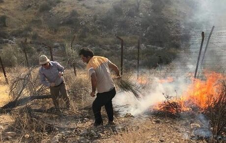 وقوع ۲۷ حریق جنگلی در شمال کشور از ابتدای آذر