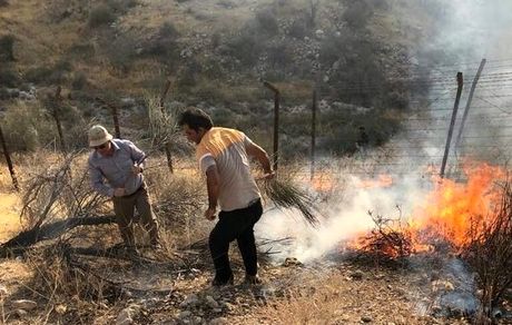 وقوع ۲۷ حریق جنگلی در شمال کشور از ابتدای آذر