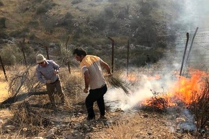 وقوع ۲۷ حریق جنگلی در شمال کشور از ابتدای آذر