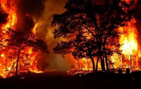 آتش‌سوزی به جنگل مرزی ایران و جمهوری آذربایجان رسید