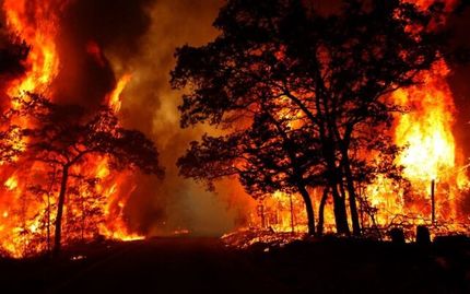 آتش‌سوزی به جنگل مرزی ایران و جمهوری آذربایجان رسید