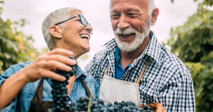 چینی‌ها قرصی برای افزایش عمر انسان به ۱۵۰ سال می‌سازند