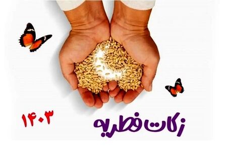 اعلام مبلغ زکات فطریه ۱۴۰۳ توسط دفتر آیت‌الله نوری همدانی