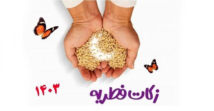 اعلام مبلغ زکات فطریه ۱۴۰۳ توسط دفتر آیت‌الله نوری همدانی