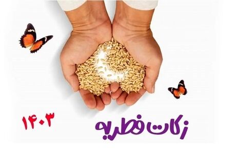اعلام مبلغ زکات فطریه ۱۴۰۳ توسط دفتر آیت‌الله نوری همدانی