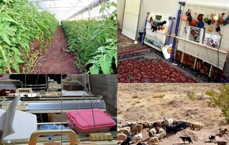جزئیات طرح‌های اشتغال‌زایی، اقتصادی و زیربنایی دولت در روستاها اعلام شد
