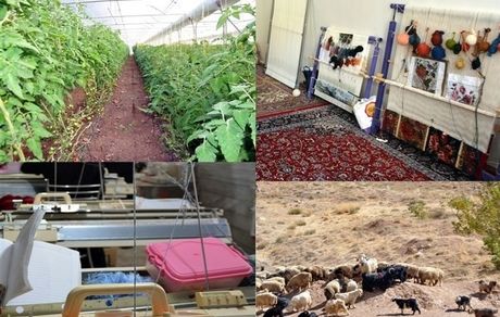 جزئیات طرح‌های اشتغال‌زایی، اقتصادی و زیربنایی دولت در روستاها اعلام شد
