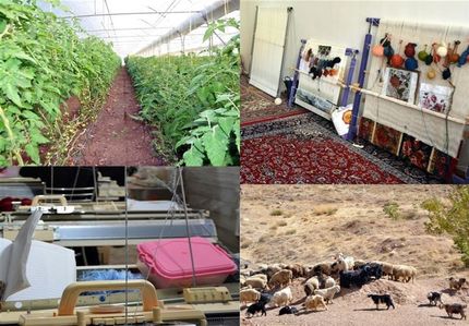 جزئیات طرح‌های اشتغال‌زایی، اقتصادی و زیربنایی دولت در روستاها اعلام شد