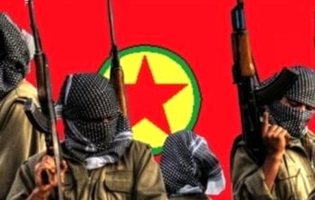 سوئد، عضو گروه تروریستی PKK را به ترکیه تحویل داد