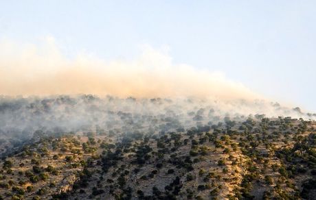 مهار آتش سوزی در جنگل ها و مراتع نزدیکی کوه سیاه