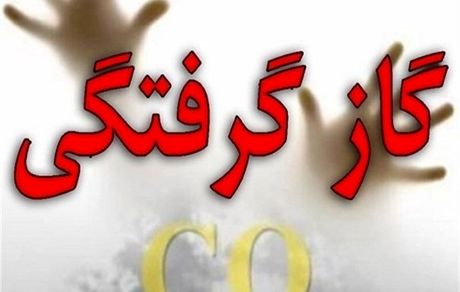 گازگرفتگی جان ۲ نفر را در نمین گرفت