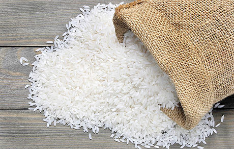 دیگر برنج خارجی وارد نمی‌شود / دلیل: عدم تعادل تراز تجاری ایران با کشورهای تولید کننده