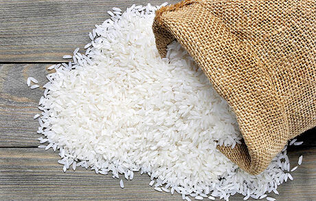 دیگر برنج خارجی وارد نمی‌شود / دلیل: عدم تعادل تراز تجاری ایران با کشورهای تولید کننده