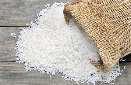 دیگر برنج خارجی وارد نمی‌شود / دلیل: عدم تعادل تراز تجاری ایران با کشورهای تولید کننده