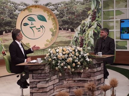 همه اراضی کشاورزی تا سال ۱۴۰۴ سنددار خواهدشد