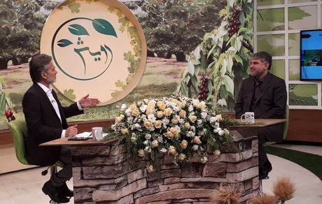 همه اراضی کشاورزی تا سال ۱۴۰۴ سنددار خواهدشد