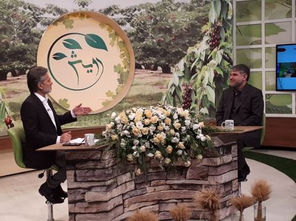 همه اراضی کشاورزی تا سال ۱۴۰۴ سنددار خواهدشد
