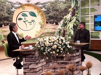 همه اراضی کشاورزی تا سال ۱۴۰۴ سنددار خواهدشد