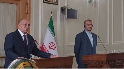 امیرعبداللهیان: راه حل بحران اوکراین سیاسی است/ ۲ بار حامل پیام وزیر خارجه اوکراین به لاوروف بودم