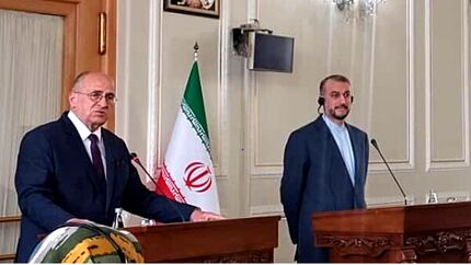 امیرعبداللهیان: راه حل بحران اوکراین سیاسی است/ ۲ بار حامل پیام وزیر خارجه اوکراین به لاوروف بودم