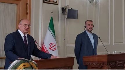امیرعبداللهیان: راه حل بحران اوکراین سیاسی است/ ۲ بار حامل پیام وزیر خارجه اوکراین به لاوروف بودم