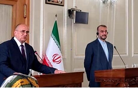 امیرعبداللهیان: راه حل بحران اوکراین سیاسی است/ ۲ بار حامل پیام وزیر خارجه اوکراین به لاوروف بودم