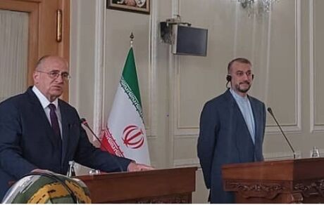 امیرعبداللهیان: راه حل بحران اوکراین سیاسی است/ ۲ بار حامل پیام وزیر خارجه اوکراین به لاوروف بودم