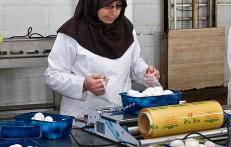 ۳۱ استان صاحب تعاونی تامین نیاز مشاغل خانگی می‌شوند