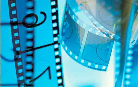 کارگردان ایرانی داور جشنواره فیلم جیپور شد