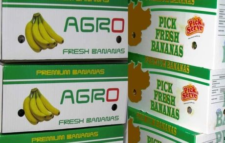 دستور ترخیص موز از گمرکات برای تنظیم بازار
