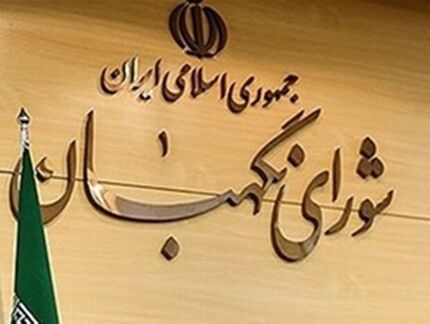 شورای نگهبان با سوءاستفاده در بررسی صلاحیت داوطلبان برخورد می‌کند