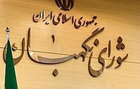 شورای نگهبان با سوءاستفاده در بررسی صلاحیت داوطلبان برخورد می‌کند