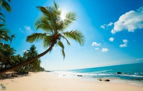 ممنوعیت حضور در سواحل کیش در روز طبیعت
