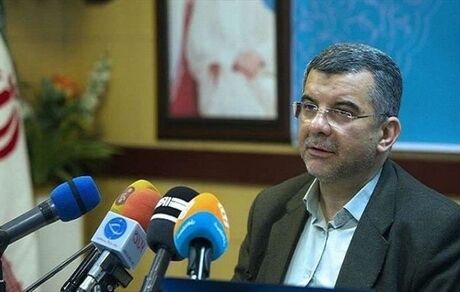 حریرچی: فشار به ظرفیت بیمارستانی مرگ و میر کرونا را بالا می‌برد