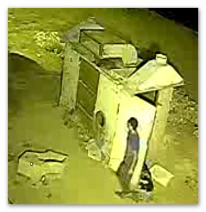 تهرانی ها قاتل را شناسایی کنید