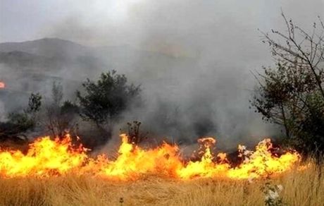 جنگل‌های گچساران آتش گرفت