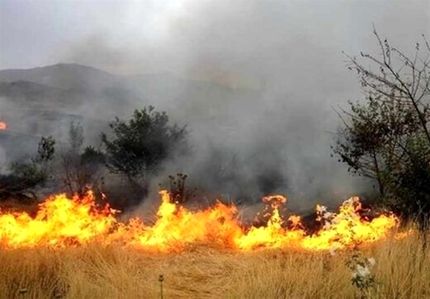 جنگل‌های گچساران آتش گرفت