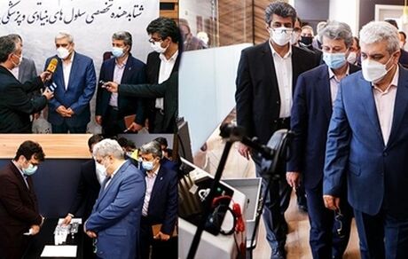 نقش ۱۵۰ شرکت دانش‌بنیان در حوزه سلول‌های بنیادی و پزشکی بازساختی