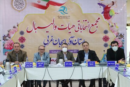 داورزنی: جریان اقتصادی و نتیجه‌گرایی دلایل انحلال برخی باشگاه‌های والیبال / امروز در ثبات هستیم
