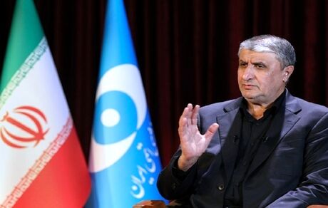 بازدهی بالای نیروگاه بوشهر توسط انجمن نیروگاه‌های اتمی دنیا تایید شده است