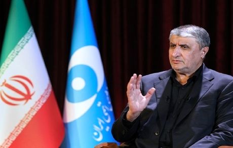 بازدهی بالای نیروگاه بوشهر توسط انجمن نیروگاه‌های اتمی دنیا تایید شده است