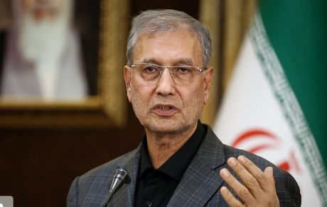 سخنگوی دولت: مجلس نمی تواند در موضوع برجام وارد شود