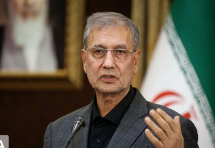 سخنگوی دولت: مجلس نمی تواند در موضوع برجام وارد شود