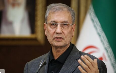 سخنگوی دولت: مجلس نمی تواند در موضوع برجام وارد شود