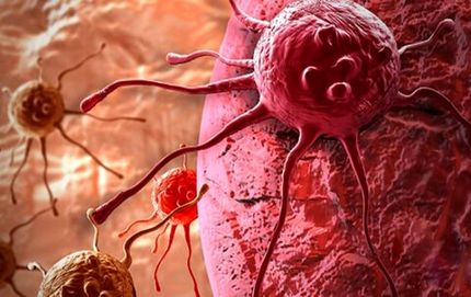 تاثیر کرونا بر فعال سازی سلول‌های خفته سرطانی