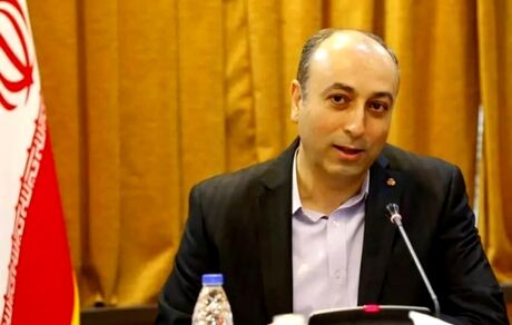 مدیرعامل جدید سایپا منصوب شد