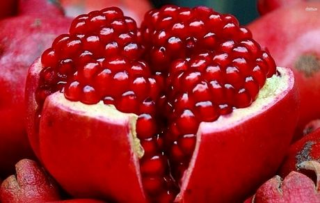 برداشت ۱۴ تن انار در هر هکتار از باغات تفت
