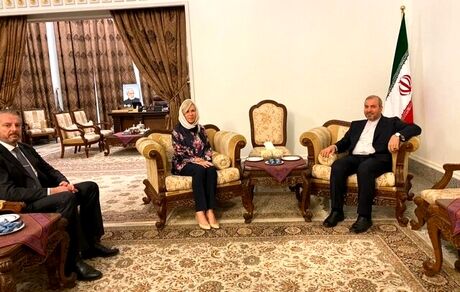 آل صادق: نیروهای مسلح عراق، از توان کامل برای تامین امنیت و دفاع از کشورشان برخوردارند