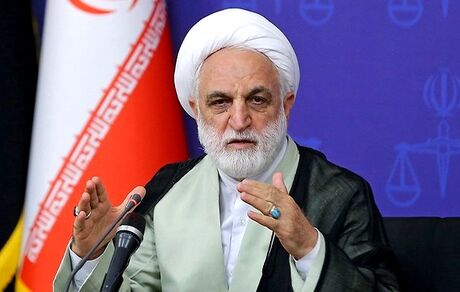 اژه ای: طولانی شدن روند رسیدگی به پرونده‌ها از مشکلات جدی است