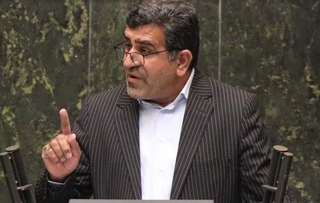 بابایی کارنامی: طرح حمایت از کارخانجات پشتوانه مناسبی برای حمایت از تولید است